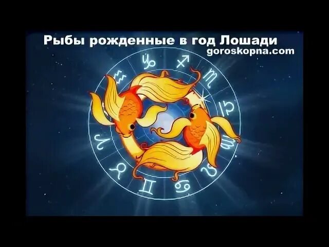 Гороскопы рыба год лошади. Лошадь года по гороскопу. Лошадь по гороскопу характеристика. Лошадь по годам. Год лошади.