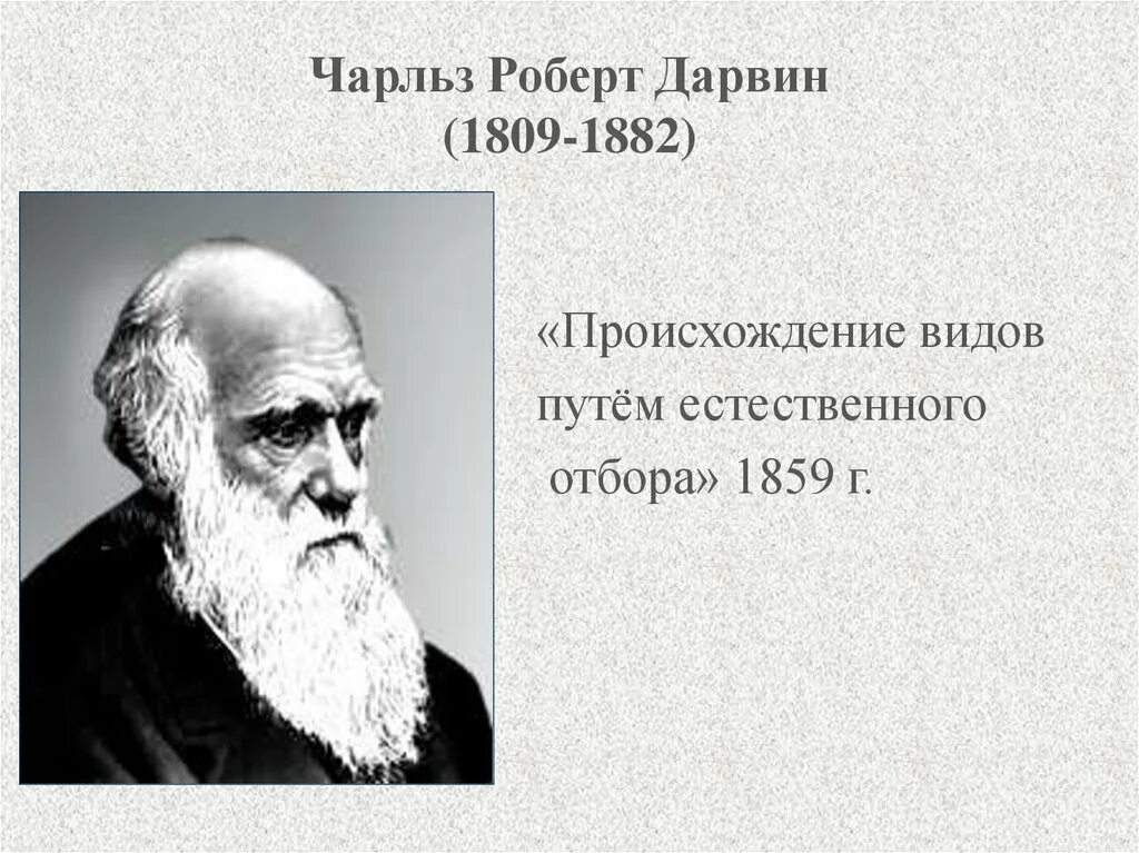 Дарвин естественный. Естественный отбор по дарвину. Естественный отбор. Происхождение видов путем естественного отбора 1859. Дарвин.
