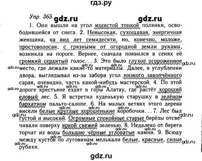 Русский язык 8 класс 365