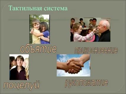 Тактильная коммуникация