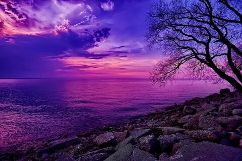 Красивое Фото В Фиолетовых Тонах 