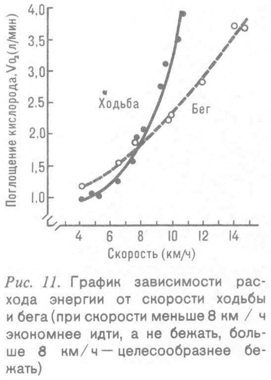 Скорость ходьбы человека. Скорость хотьбы человек. Скорость ходьбы и бега. Среднее скорость ходьбы человека.