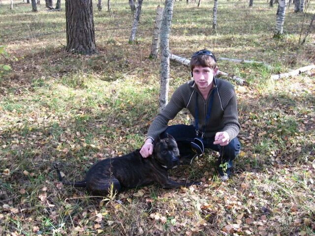 Мэр Невинномысска: по итогам года город привлечет свыше 13 млрд рублей - Интервь