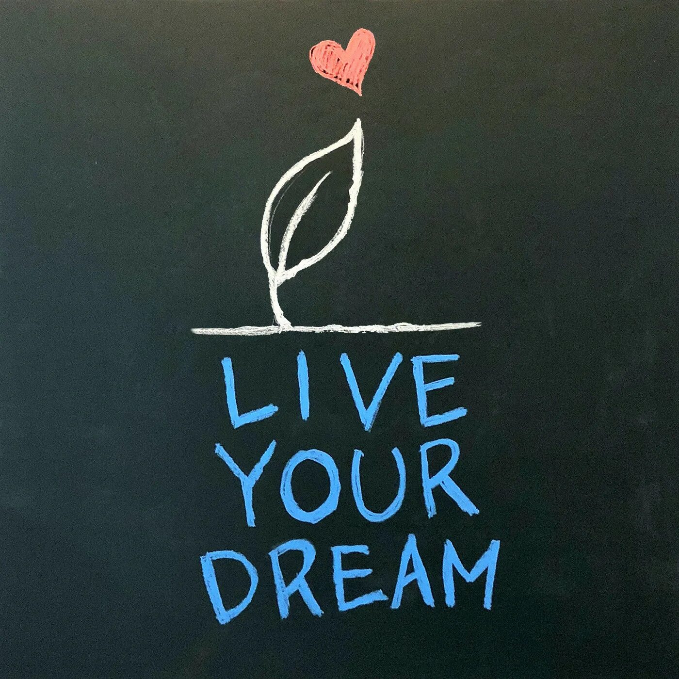 One be yours live. Live your dreams. dream your dreams. дневник live your dream.