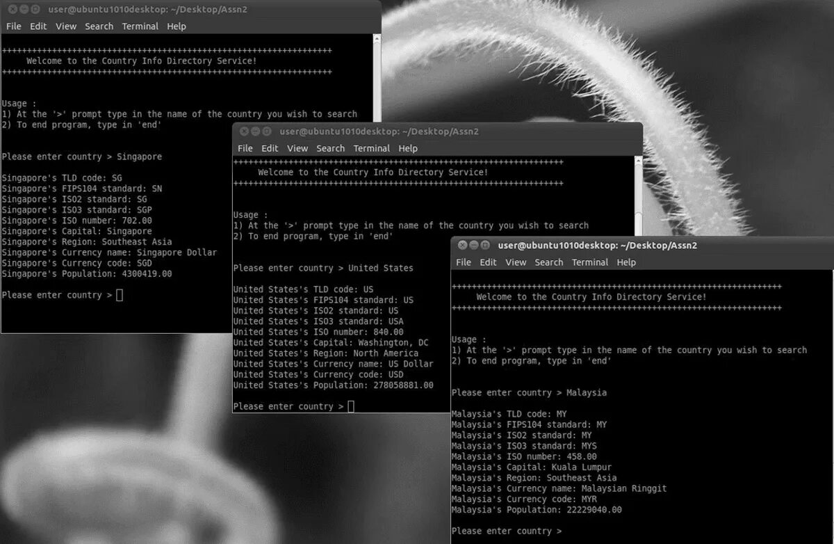 Курсы linux. Курсы linux