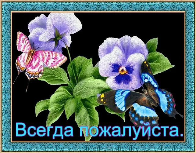 Всегда пожалуйста. Открытка пожалуйста. Всегда пожалуйста картинки. Всегда пожалуйста гифы.