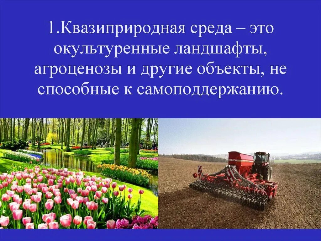 Искусственные объекты созданные человеком. Типы агроценозов. Окультуренный ландшафт. Квазиприродная среда. Окультуренные ландшафты виды.