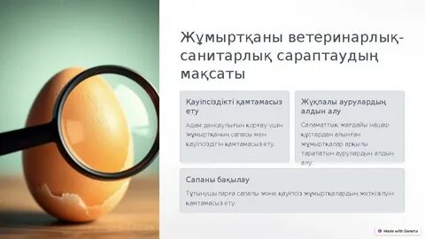 Ұйғыр секс видео