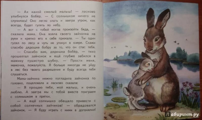 Зачем маленький зайчонок убежал из родного гнезда. Стихотворение маленький Зайчонок. Сказка о зайчике который обиделся на свою маму. Маленький Зайчонок улыбнулся маме стих. Маленькие стихотворения про зайчика.