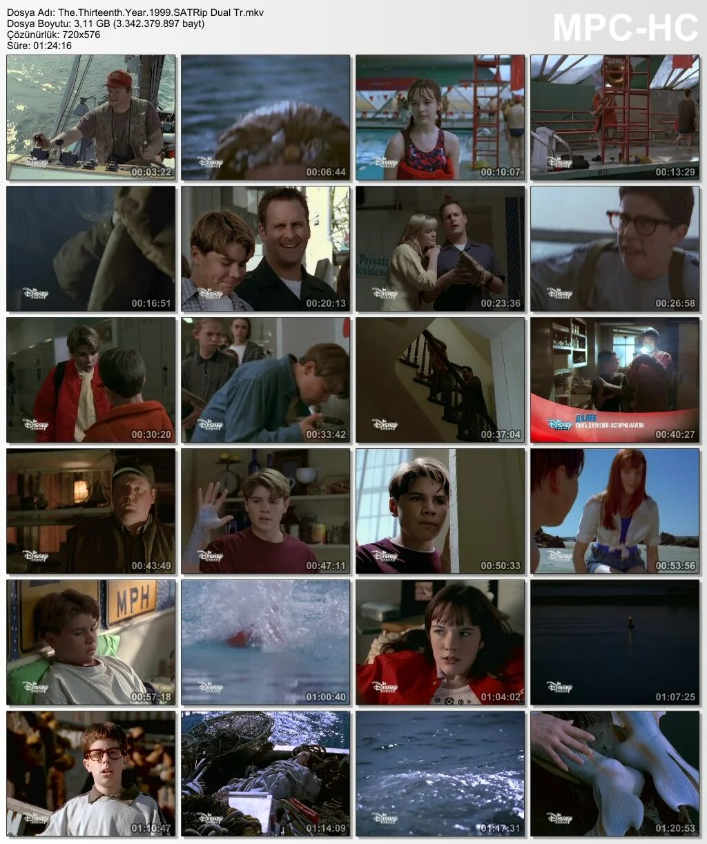 1999 год характеристика. The Thirteenth year 1999. Французская Сивилла 1999 год.