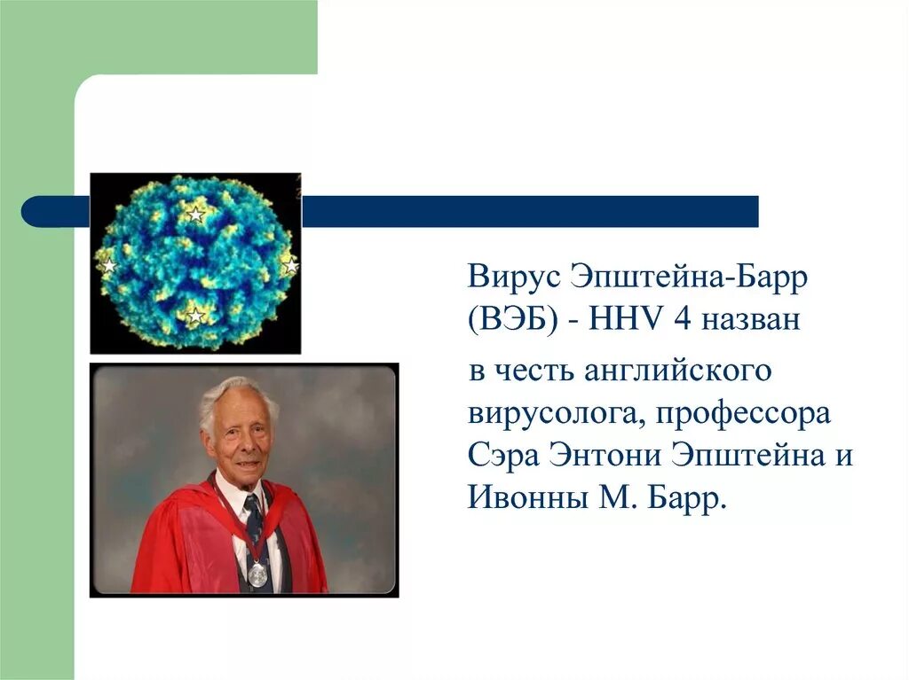 Epstein barr virus ebna. Вэб вирус Эпштейна Барр. Энштейна Барр. Строение вируса Эпштейна-Барр.