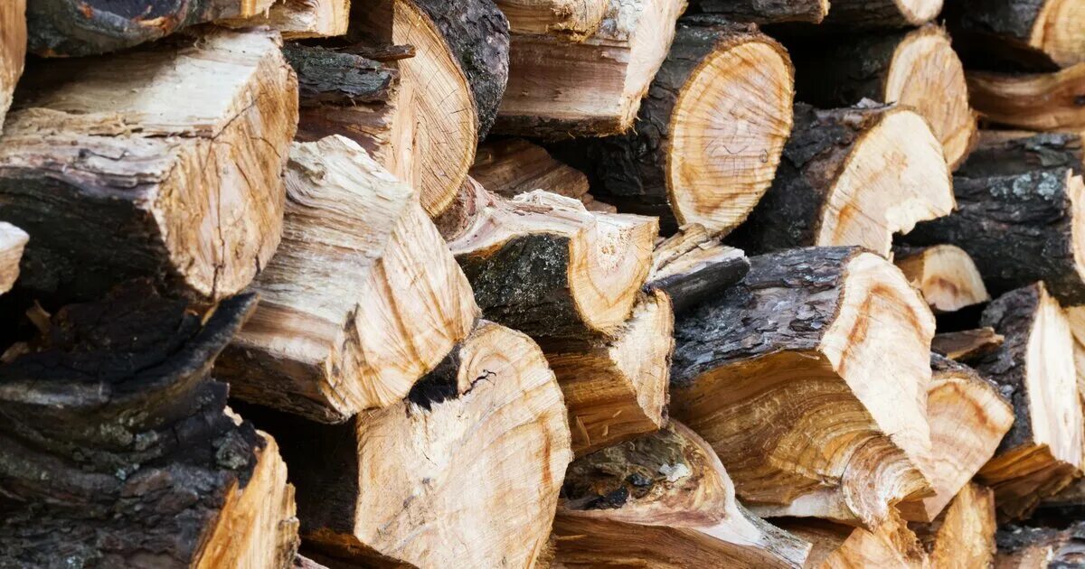 Дрова воруют. Дрова береза. Дрова в деревне. Дрова. Чурка дрова.
