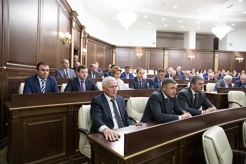 Участие в народном собрании