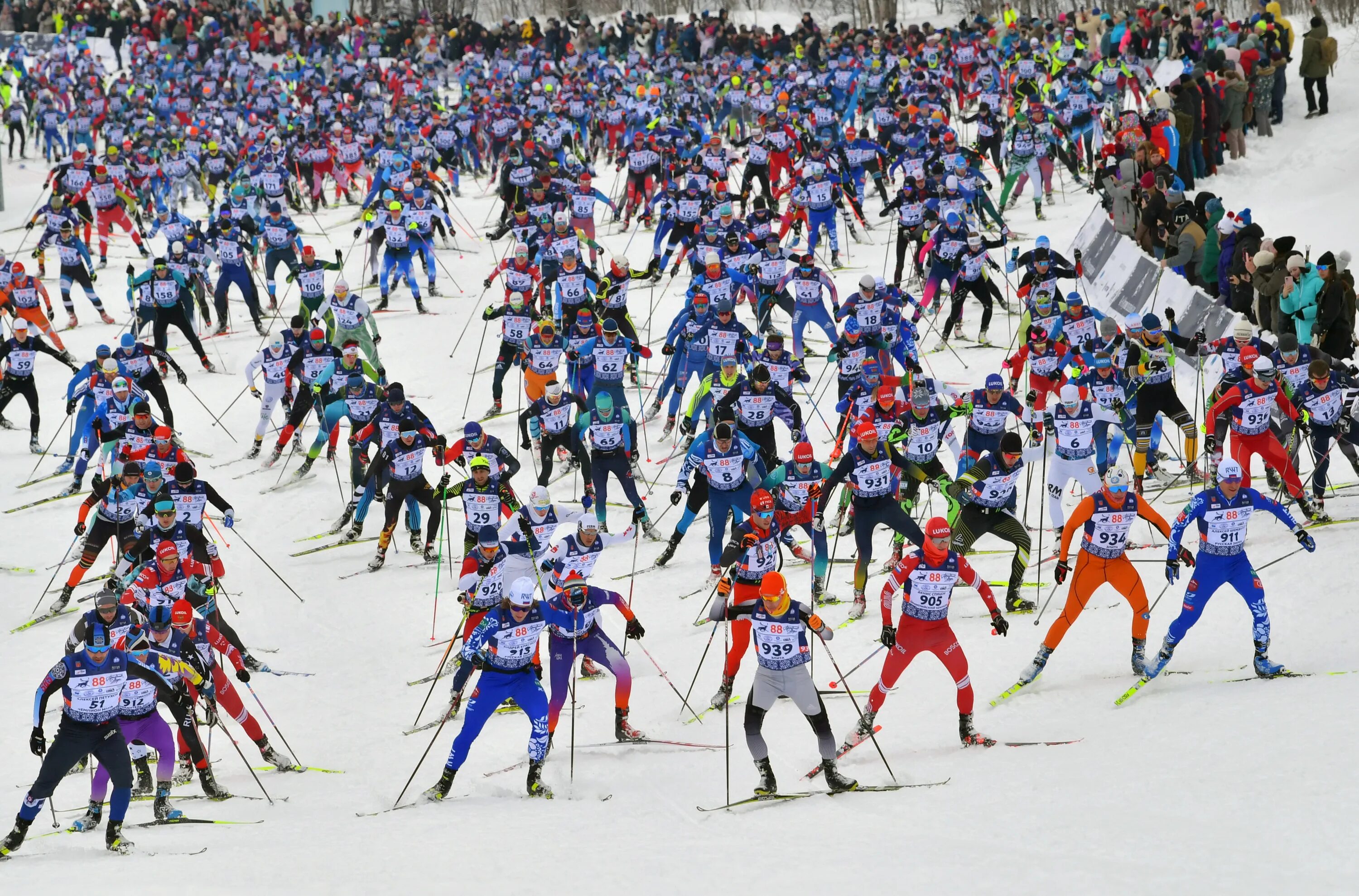 Расписание праздника севера 2024. Юбилейный 50-й Мурманский лыжный марафон. Лыжные соревнования. Горнолыжный спорт. Мурманский марафон 2024 лыжный.