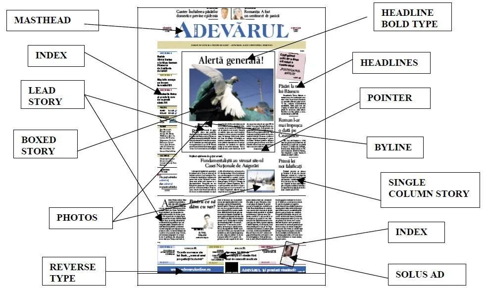 Газетная структура. Parts of a newspaper. Parts of a newspaper article. Строение газеты.