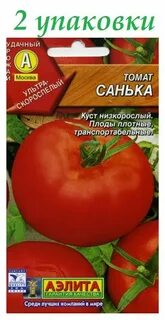 Сорт помидор санька отзывы описание сорта