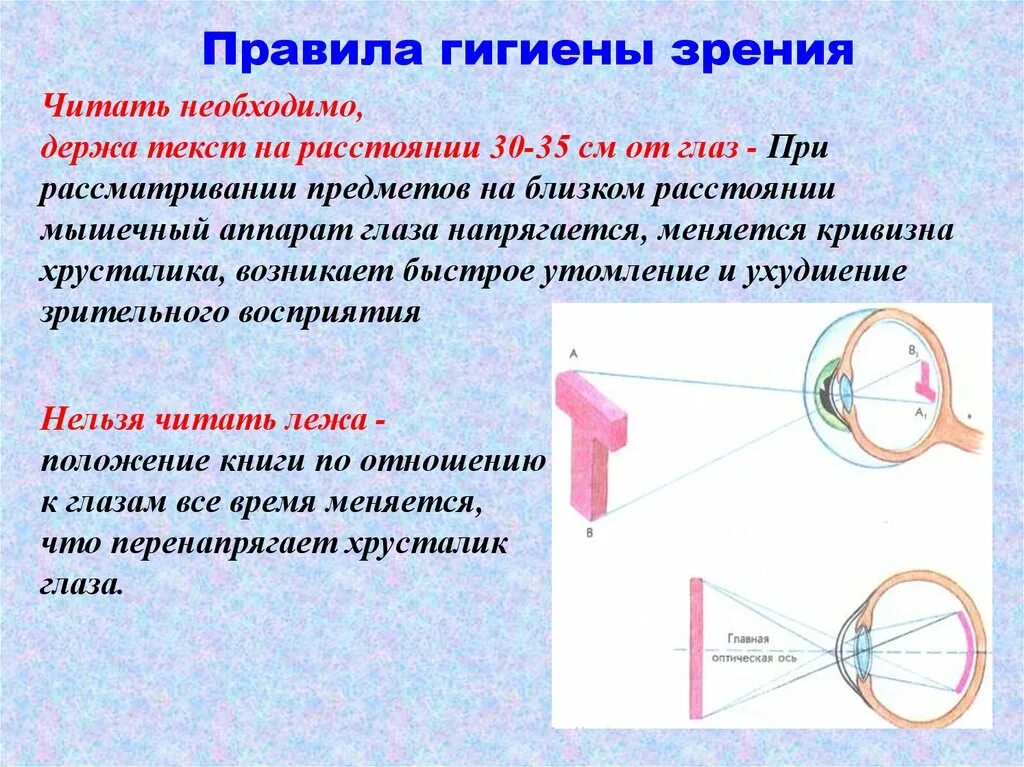 Гигиена зрения. Гигиена анализаторов зрения. Правила по гигиене зрения. Расскажите о правилах гигиены зрения. Механизм работы зрительного анализатора гигиена зрения