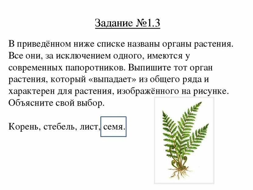 Впрочем по биологии 5 класс с ответами. Задание по биологии растений. Биология 5 класс задания. Задачи по биологии 5 класс. ВПР по биологии 5 класс задания.