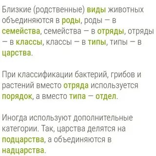 Последовательность таксономических названий ежа