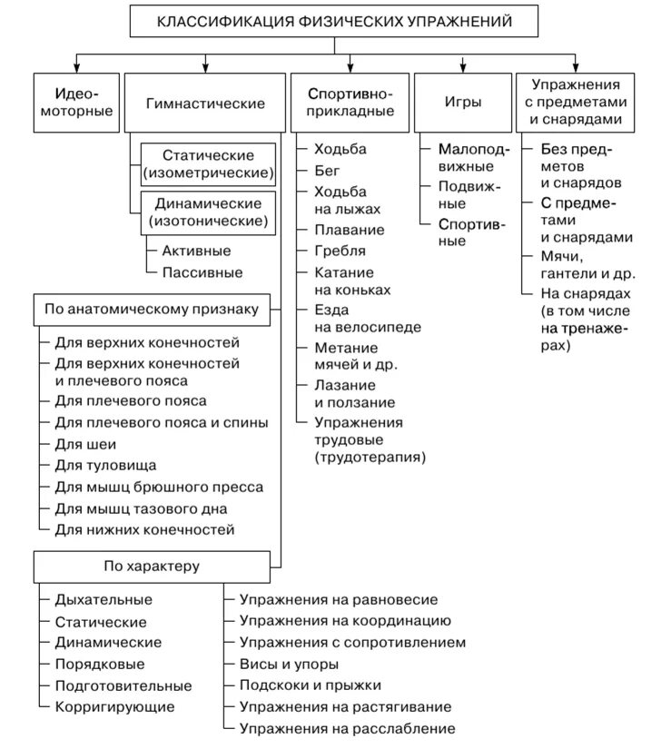 Применение методов физического воспитания. Классификация и характеристика физических упражнений. Классификация физкультурных упражнений. Признаки классификации физических упражнений. Различные классификации физических упражнений, их характеристика..