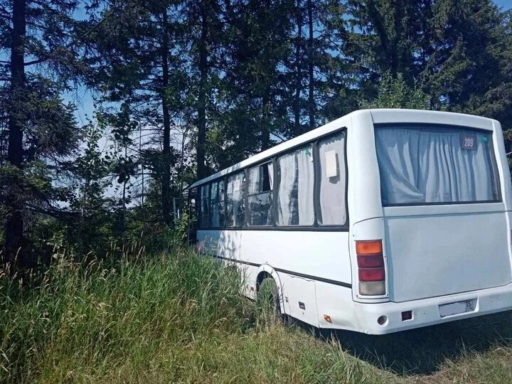 Автобус сокол порой. Автобус сокол порой. Автобус сокол порой. Липецкий автобус. Автобус сокол порой.