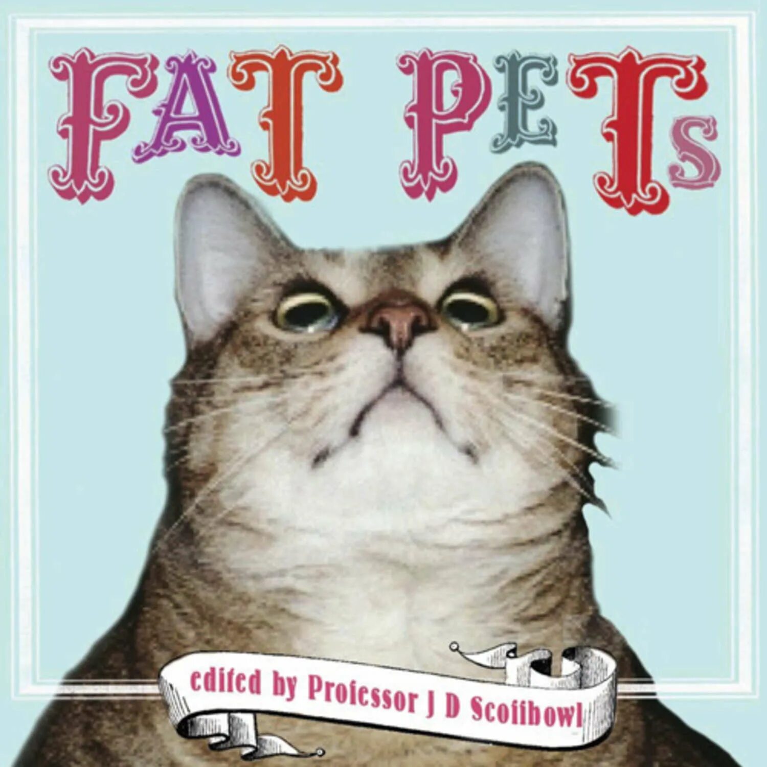 Fat Pet. Fat pets