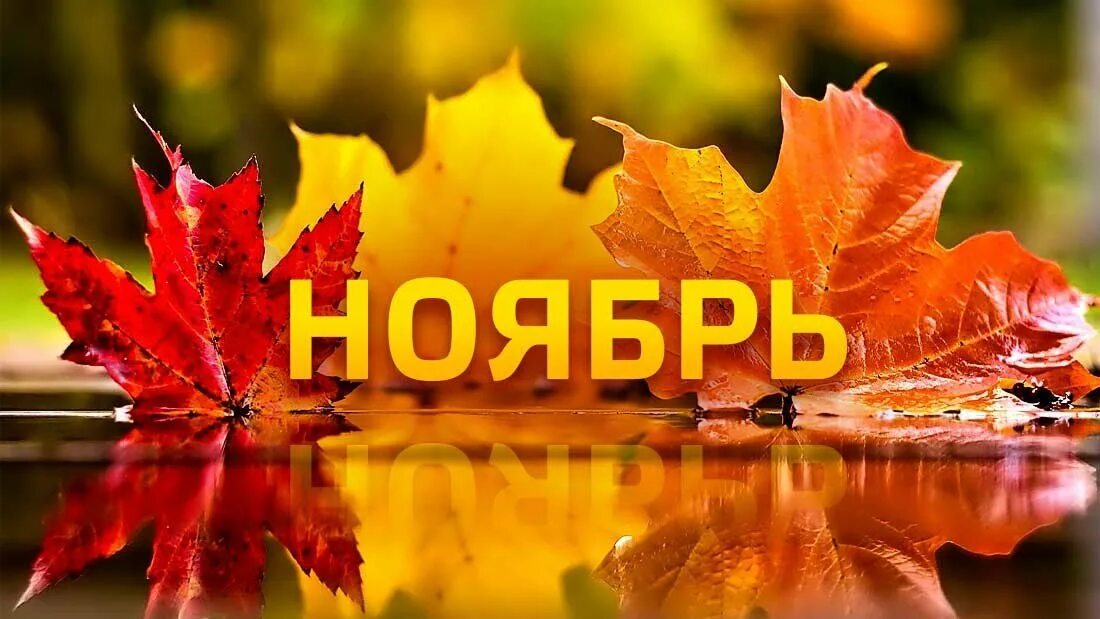 Осенние месяцы для детей. Сентябрь картинки красивые с надписью. Сентябрь надпись. Осень надпись. Красивые осенние открытки.