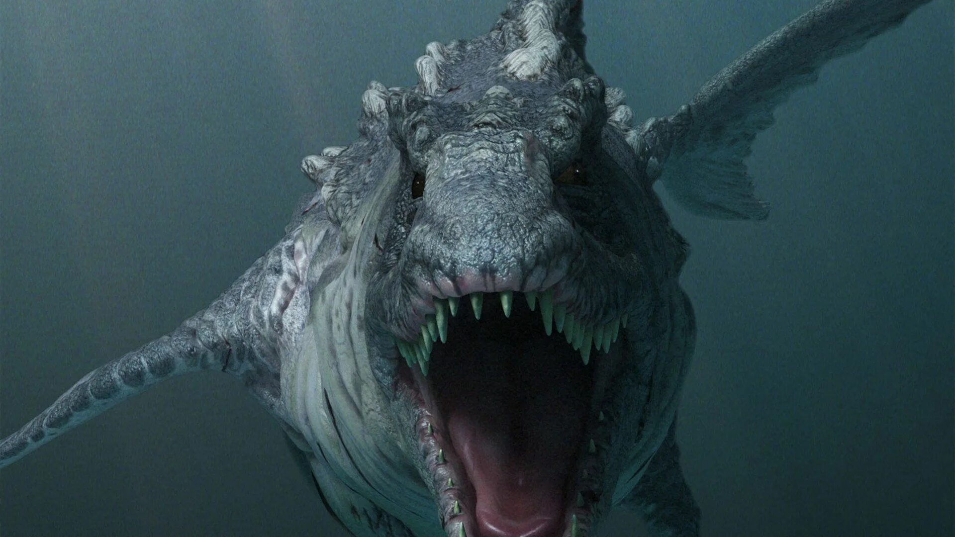 Змея крокодил акула. Акулозавр 2010. Акулозавр Акулозавр. Акулозавр Dinoshark, 2010.