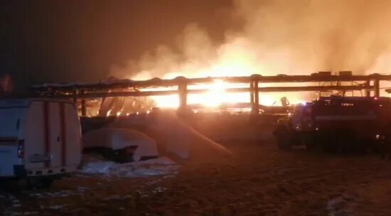 Пожар на мебельной фабрике во фрязино. Пожар на мебельной фабрике во фрязино. Пожар во фрязино сейчас. Пожар в мебельном цехе. Пожар в москве фрязино.