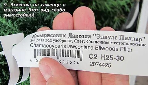 Бирки россельхознадзор