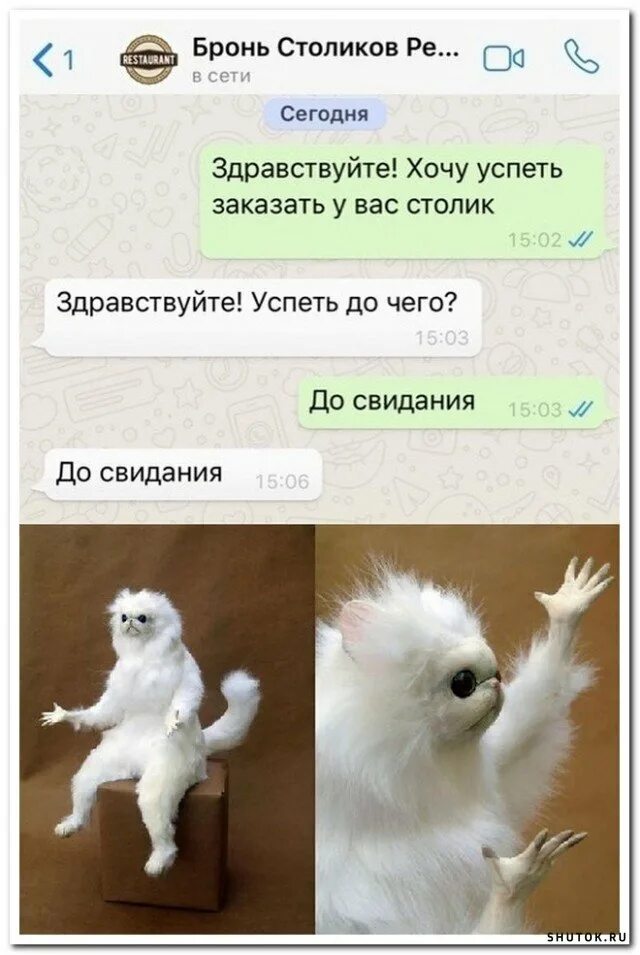 До свидания прикол. Здравствуйте хочу успеть заказать у вас столик. Скрин переписки с продавцом. Ньютон смешные картинки. Вы не хотите поговорить о боге.