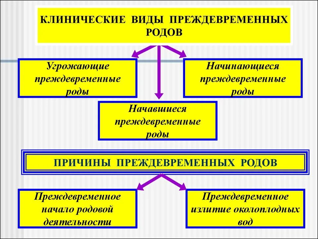 Беременность вторая роды преждевременные