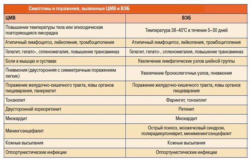 Вэб и цмв