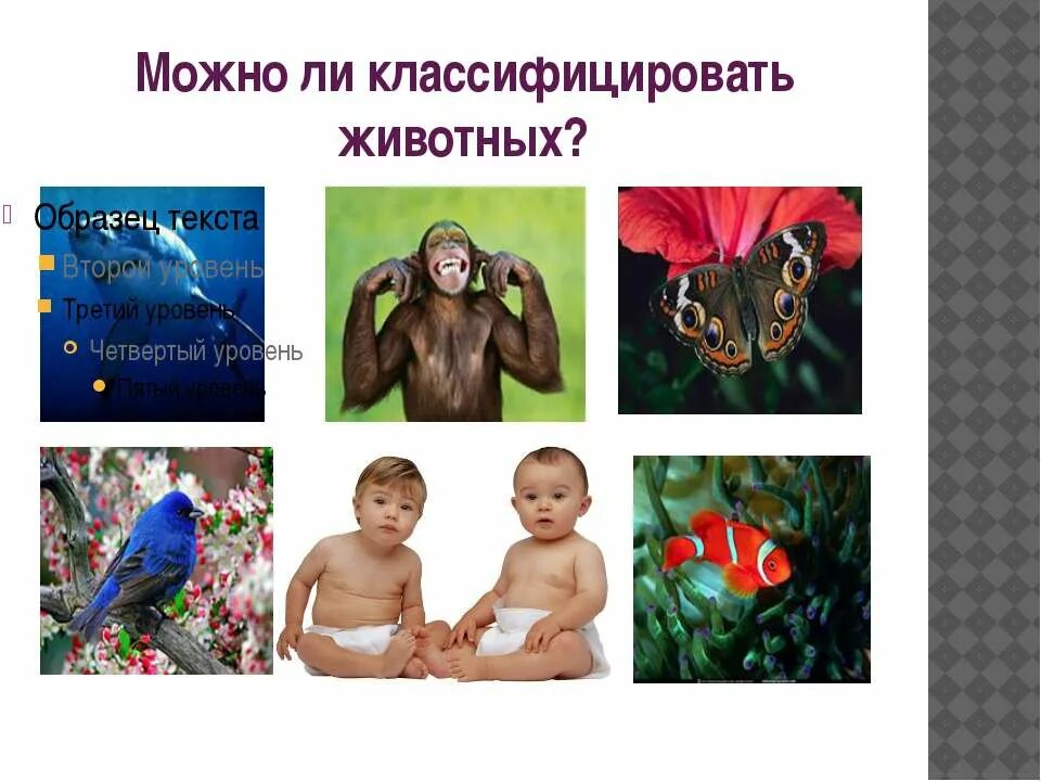 живые существа 3 класс окружающий мир. признаки живых организмов 3 класс окружающий мир. живый е существа организмы. живые существа 3 класс окружающий мир. растение гриб бактерия.