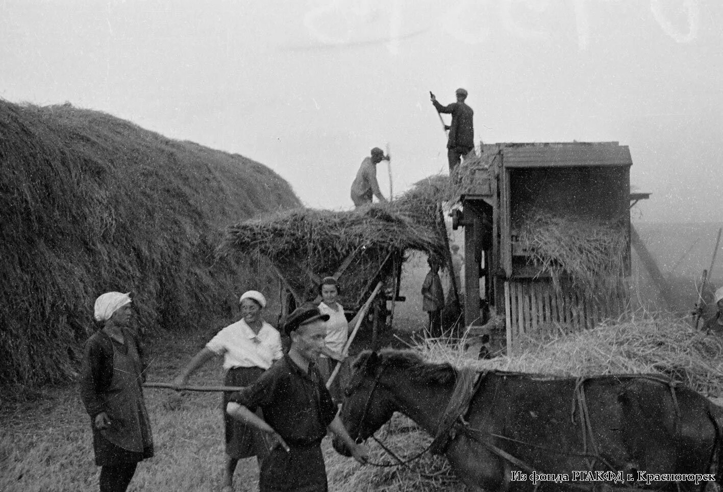 Немцы поволжья в сибири. Немцы поволжья 19 век. спецпоселения немцы поволжья. немцы колонисты в поволжье.
