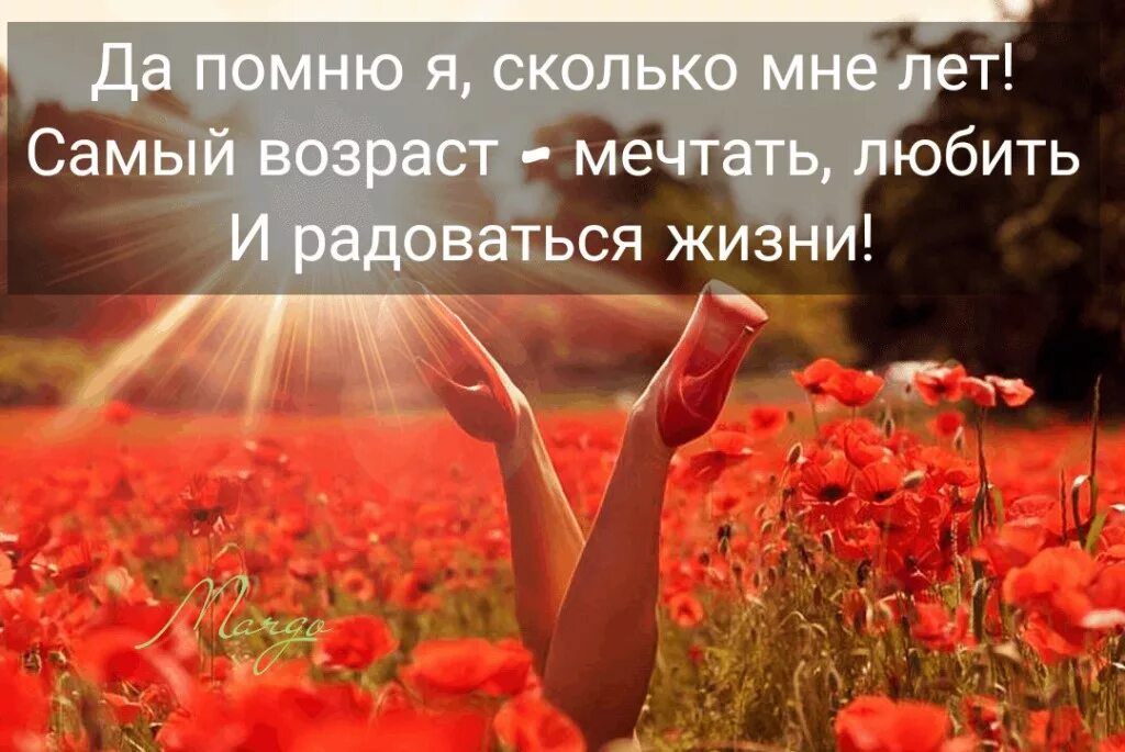 Видео жизнь это главное. Наслаждение жизнью цитаты. любите мечтайте и радуйтесь жизни. удовольствие от жизни цитаты. наслаждайся жизнью цитаты.