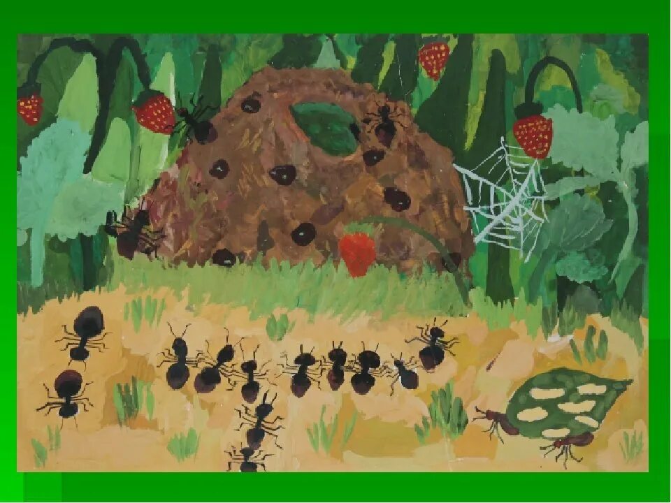 Рисование насекомые старшая. Рисование насекомые в подготовительной группе. Рисование в детском саду на тему насекомые. Нарисовать Муравейник с муравьями. Мир насекомых рисование подготовительная группа.