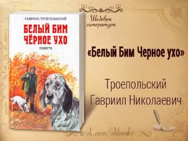 Читать книги бим черное ухо. Белый Бим черное ухо. Повесть.. Г Н Троепольский белый Бим черное ухо. Белый Бим черное ухо книга.