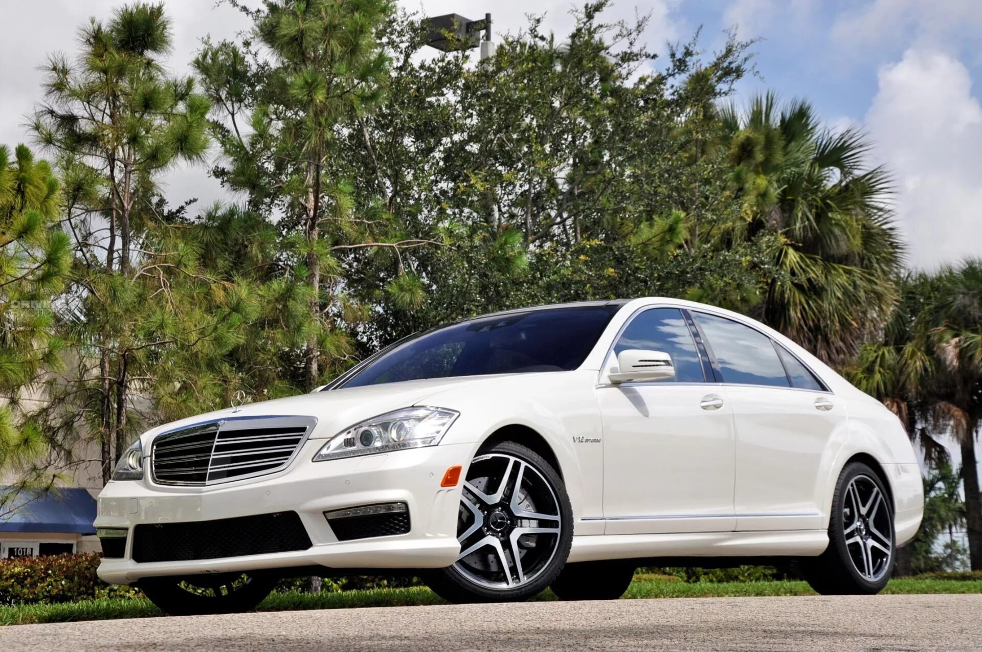 S 65 см. S 65 см