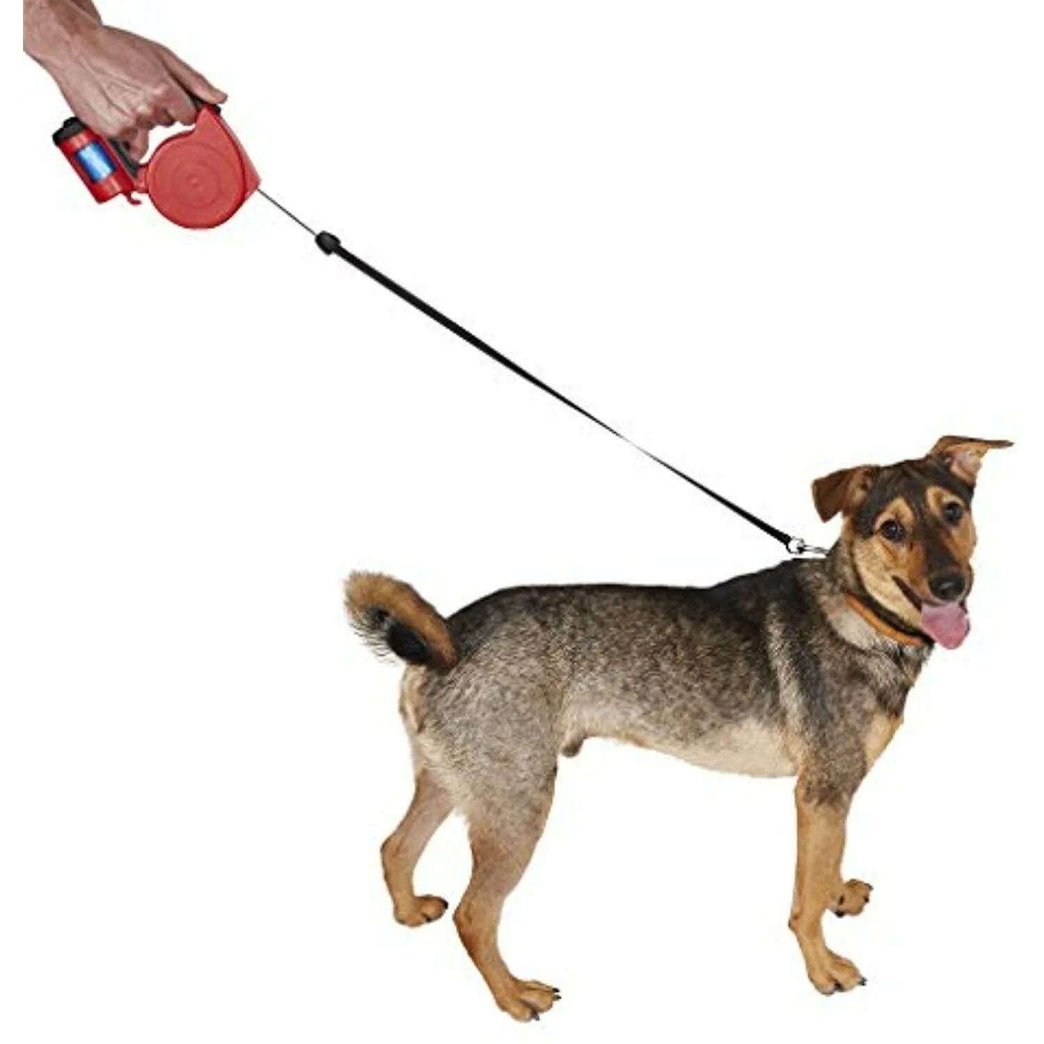 Leash slap