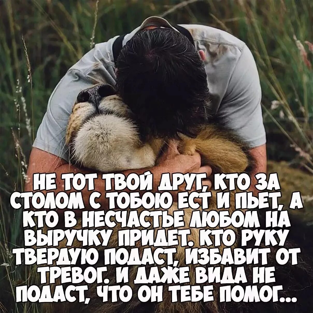 Нет преданных друзей. Статусы про предательство друзей. статусы про верных друзей. статусы про друзей предателей. высказывания о предательстве друзей.