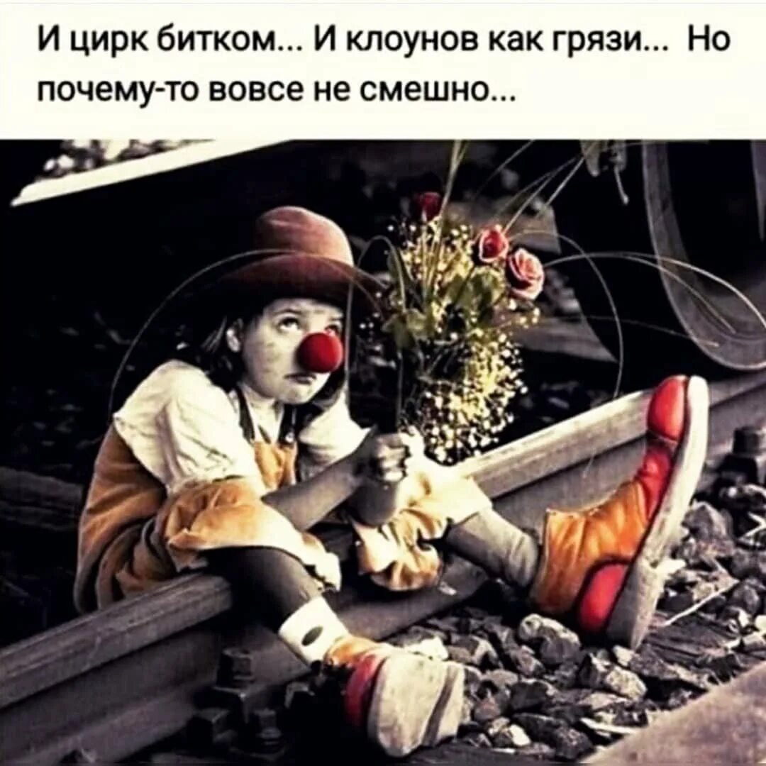 Клоун цитаты. Цитаты про клоунов. и цирк битком и клоунов как грязи но почему-то вовсе не смешно. высказывания о клоунах. грустный клоун.