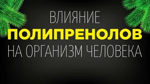 Полипренолы