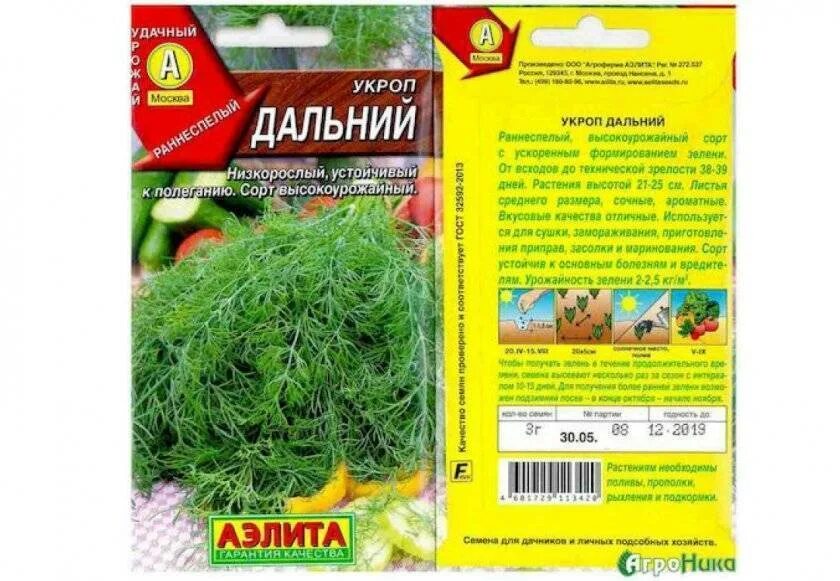 Dill перевод. Укроп низкорослый сорт. Укроп семена лучшие сорта на зелень. Сорт укропа без зонтиков. Сорта укропа кустового без зонта названия.