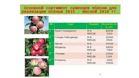 Уровень сорт