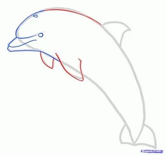 Рисуем дельфина поэтапно