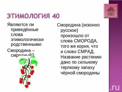 Продолжите восстановление этимологического гнезда вписав недостающий элемент