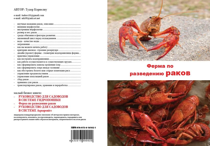 Сколько хранят раков. Раковая ферма. Раковая ферма бизнес план. Раковые фермы в Краснодарском крае. Раковая ферма в Ростовской области.