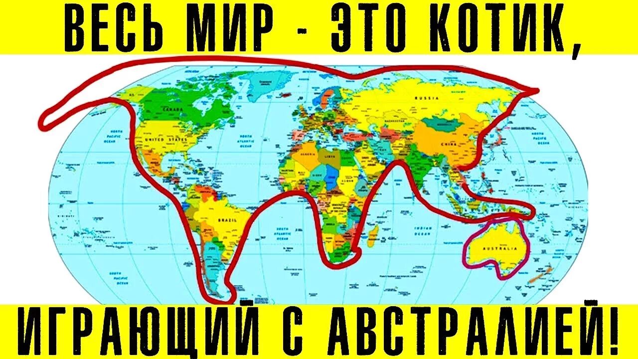 Мир котик. Мир это кот играющий с австралией. котик играющий в австралию. мир это котик.
