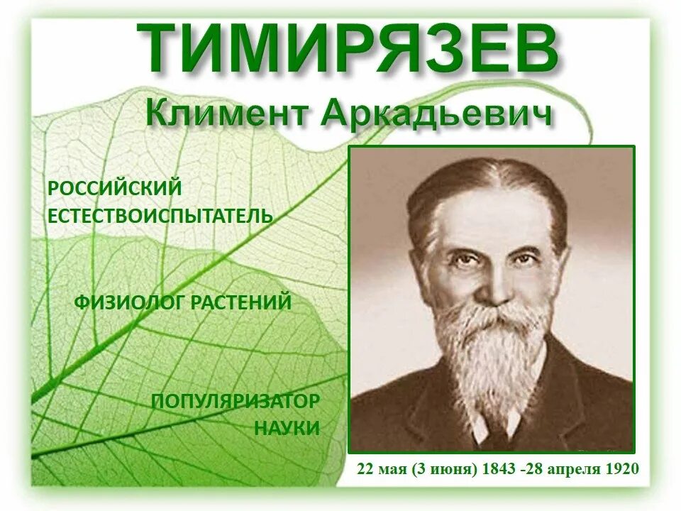 Тимирязев к.а. (1843-1920). Великий ботаник